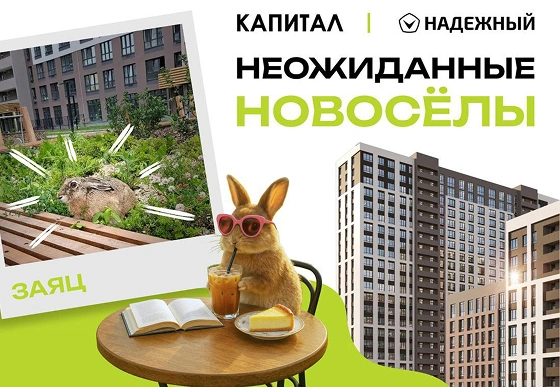 image-29e09beaf385